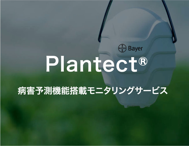 Plantect®️〈プランテクト〉病害予測機能搭載モニタリングサービス